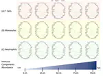 Robust Bayesian Graphical Regression Models for Assessing Tumor Heterogeneity in Proteomic Networks