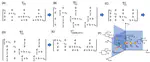 Geometry-driven Bayesian Inference for Ultrametric Covariance Matrices