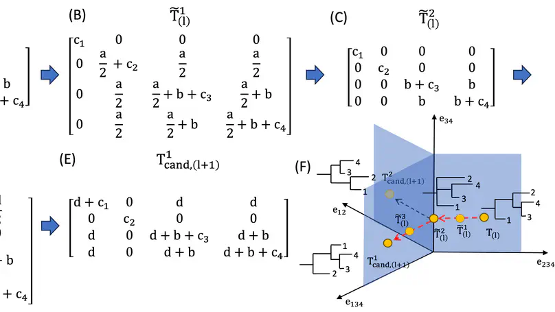 Geometry-driven Bayesian Inference for Ultrametric Covariance Matrices